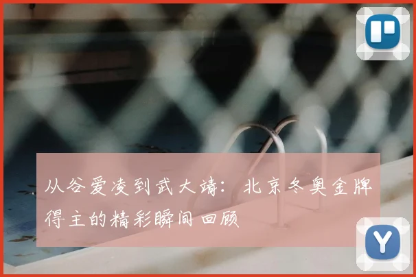 从谷爱凌到武大靖：北京冬奥金牌得主的精彩瞬间回顾