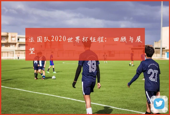 法国队2020世界杯征程：回顾与展望