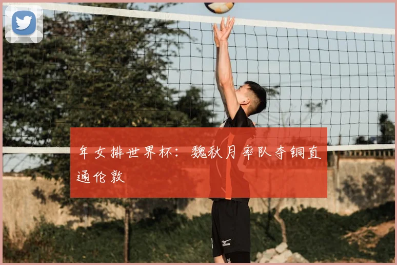 年女排世界杯：魏秋月率队夺铜直通伦敦
