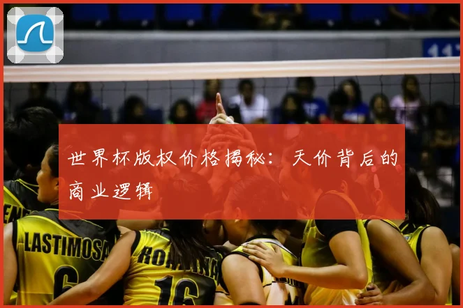 世界杯版权价格揭秘：天价背后的商业逻辑