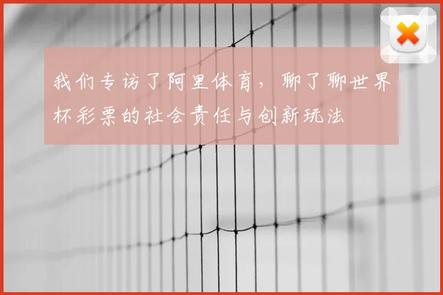 我们专访了阿里体育，聊了聊世界杯彩票的社会责任与创新玩法