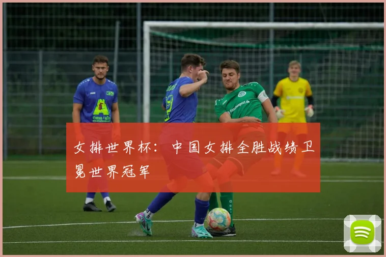 女排世界杯：中国女排全胜战绩卫冕世界冠军