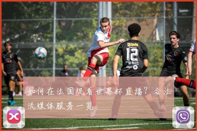 如何在法国观看世界杯直播？合法流媒体服务一览