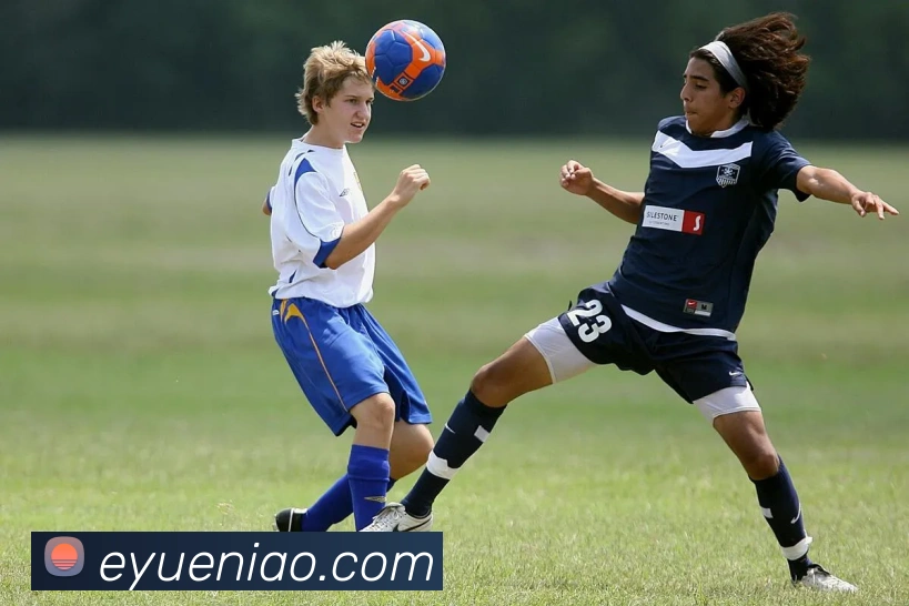 多媒体互动体验